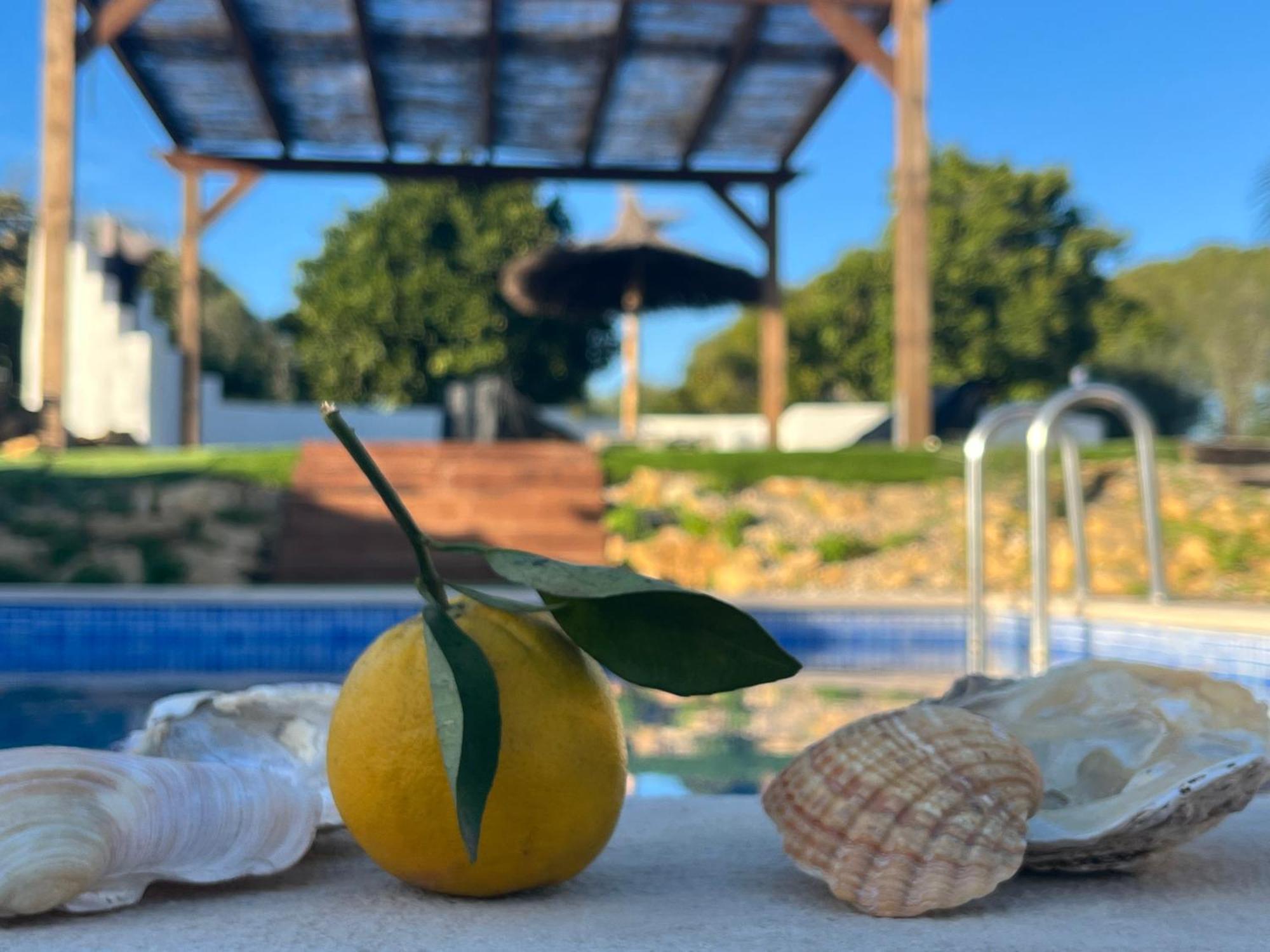 Quinta Da Layla Villa Olhao Luaran gambar